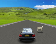 Action driving game online